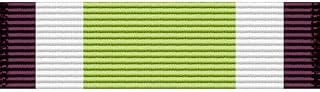 Military Service New Hampshire National Guard Service Ribbon Sticker UV Decal Water Resistance Car Bumper Window Wall Laptop Veteran Retired