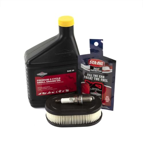 Briggs And Stratton Sae 30 Oil Engine Tune-Up Kit For Ex