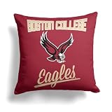 Northwest NCAA Boston College Eagles Alumni Double-Sided Printed Throw Pillow, Soft Decorative Polyester Fan Cushion, Couch Bed or Game Room Decor, 18 x 18 in