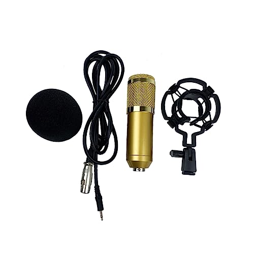Microphone condensateur XLR HANABASS à large diaphragme avec double maille pour chant