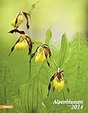  Alpenblumen 2014: Kalendarium viersprachig