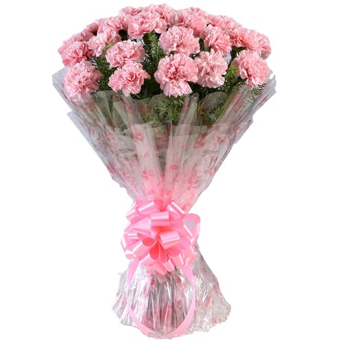 FLORANET Elegant Bouquet of 24 Pink Carnations for Anniversary, Birthday, Wedding, Congratulations & Mother’s Day Gift with Same Day Delivery-image-4