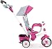 Little Tikes Perfect Fit 4-in-1 Trike, Pink