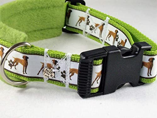 Halsband Magyar Vizsla Größe M 40-45 cm Halsumfang
