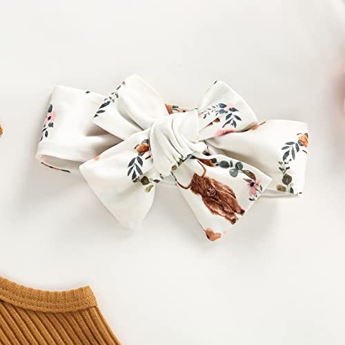 Kuriozud Newborn Infant Baby Girl 2 Piece Summer Outfits Tank Romper Top + Ruffle Bloomer Shorts Set Clothes4