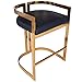 HomeRoots Iron; MDF, Fabric; Faux Leather Gold and Black Faux Leather Counter Stool