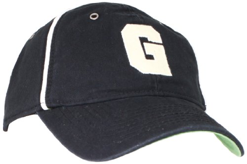 Blue Marlin Men's Classic Homestead Greys Fitted Hat, Black, Medium/Large
