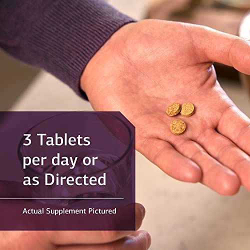 Standard Process Catalyn Whole Food Foundational Support for General