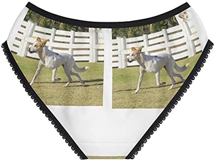 Canaan Dog Panties, Canaan Dog Underwear, Briefs, Cotton Briefs, Funny Underwear, Panties For Women