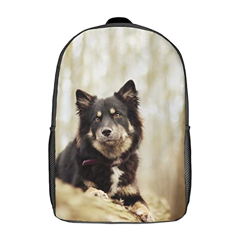 Sac à dos mode ado pour le collège et le lycée avec motif chien original