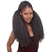 Femi Collection Marley Braid 100% Kanekalon Flame Retardant (#1B)