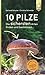 Produktbild 10 Pilze: Die sichersten Arten finden und bestimmen