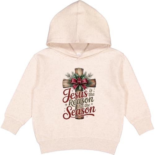 inktastic Jesus Is the Reason Toddler Hoodie 4T Natural Heather
