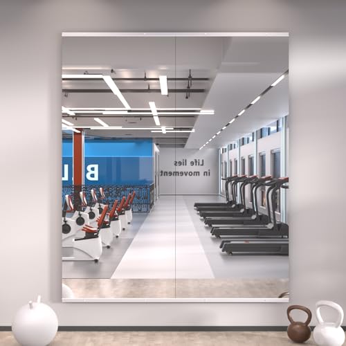 Image of LOAAO Home Gym Mirror 56 inchx24 inch, 2 PCS