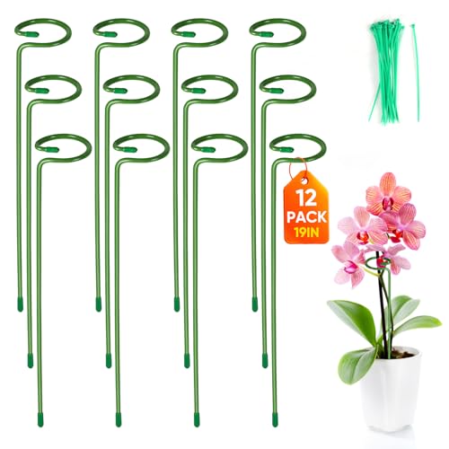 12 Pack Plant Support Stakes with 24 Pcs Plant Clips, Garden Single Stem Support Stake, Plant Cage Support Ring for Indoor Outdoor Flowers Rose Amaryllis Tomatoes Peony Lily Orchid