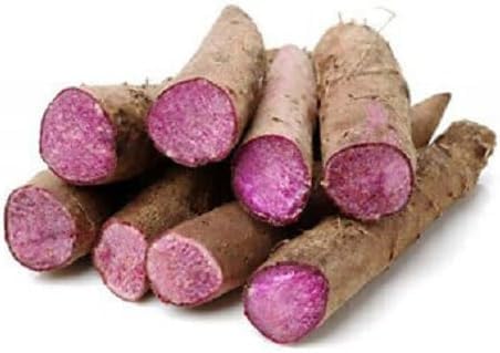 Miniatura 2 de 100 semillas de Dioscorea Alata, semillas vegetales de ñame morado reliquia para plantar, tubérculos de alto rendimiento para jardines domésticos,