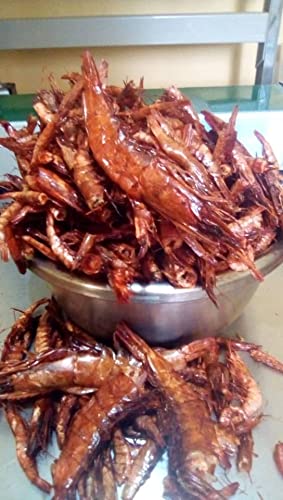 Colour Flavour Dried Red Prawns Oporo 4Oz 100G - Dry Prawns - Red Shrimp - Dried Shrimp For Cooking - Premium Quality Nigerian Red Shrimps With 100% Natural Seafood Organic Shrimp Flavor For Seasoning #TOP5