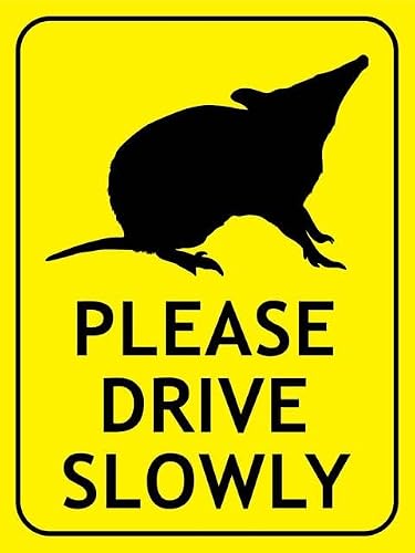 Xewazd A576 8"X12" Aluminum Metal Sign - Bandicoot Long Nosed (Please Drive Slowly, Bright Yellow) | Safety Notice Plate