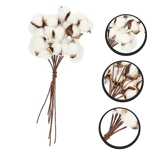 Set de ramo de flores secas de algodón para decoración miniatura 3