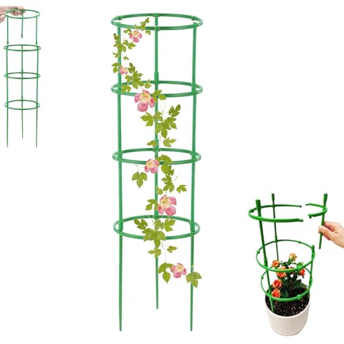 support plante grimpante,tuteur tomate 200 cm,tuteur rond,kit palissage plantes grimpantes,support rosier grimpant exterieur,tuteur hortensia,fraisier grimpant a planter,support de tige de plante