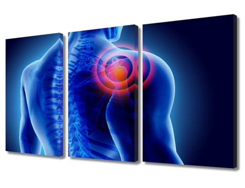 TUMOVO 3 Panel Wall Art for Living Room, 3D of Shoulder Painful, 3D Medical Conceptt Picture Prints on Canvas, Modern Decor for Living Room Bedroom, Stretched Framed Ready to Hang, 36" Wx24 H