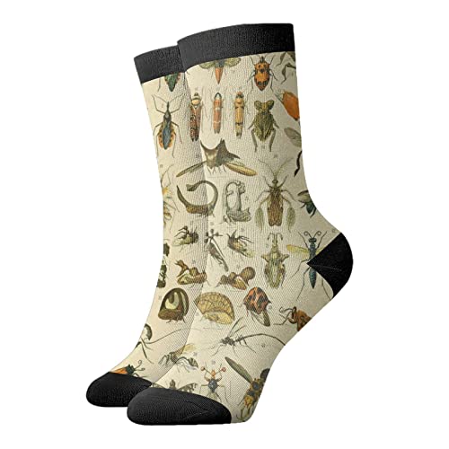 Bugs Novelty Socks