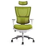 メーカー組立完成品 エルゴヒューマン フィット オフィスチェア グリーン 3Dファブリックメッシュ 座面クッション ホワイトフレーム IOO-WA-3DHBM-F-KMD-34
