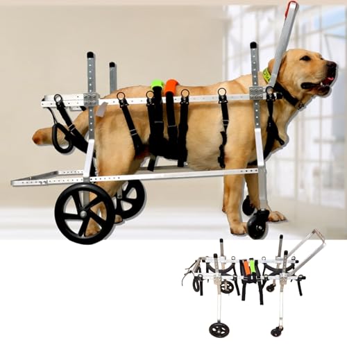 Fauteuil roulant pour chien à 4 roues | Chariot de rééducation active - 2
