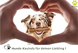 Stilux® Kauhloz aus Olivenholz für Hunde bis 10Kg, Größe S, Kauknochen Hundespielzeug, langlebiges Holzknochen Kauspielzeug zur Hund Zahnpflege