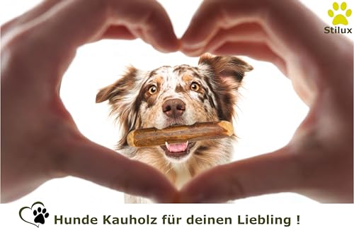 Stilux® Kauhloz aus Olivenholz für Hunde bis 5Kg, Größe XS, Kauknochen Hundespielzeug, langlebiges Holzknochen Kauspielzeug zur Hund Zahnpflege