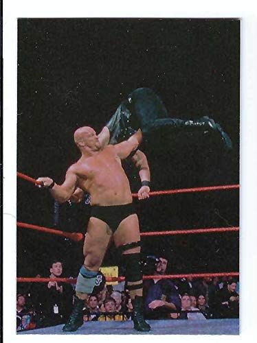 STONE COLD STEVE AUSTIN 1998 DuoCards WWF Stone Cold's Greatest