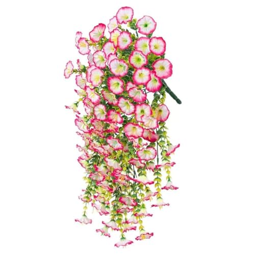 Ȓ݂艺ԁAȉƒ؉̑ - lH݂̒艺y`jAAATKIAƂ̃|[`eXoRj[AȌt̑ɓKĂ܂ (sNƔ)