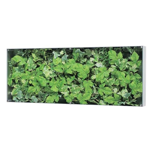 EH[O[ xN O[[h BELK GR3118 A~oރVo[A}Cgd 3mmANE4mmxj\E3mmv_  1