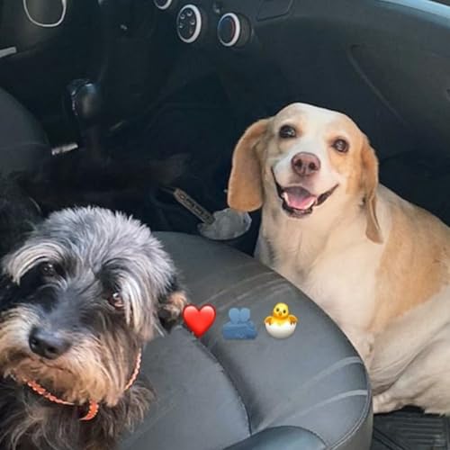 Couverture de Valery oliwi