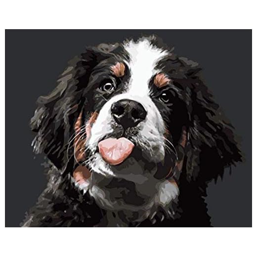 NaiveSun Paint by Numbers kit för vuxen nybörjare stygg hund gör-det-själv kanvas oljemålning kit för vuxna – med borstar och akrylpigment utan ram 40 x 50 cm