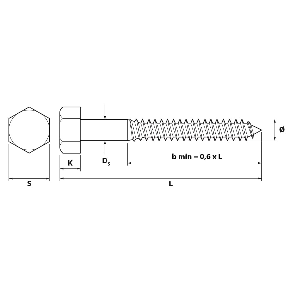 BricoLoco.com Tornillo tirafondos barraquero DIN 571 cabeza hexagonal. Acero galvanizado. Uniones madera metal. Fijación a pared con taco plástico o nylon. (M-10x180 mm., 50)