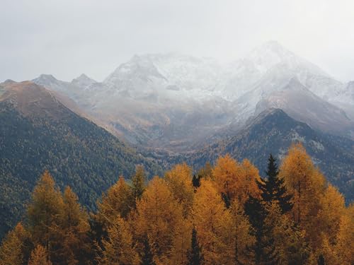 Fundo Musical Oração