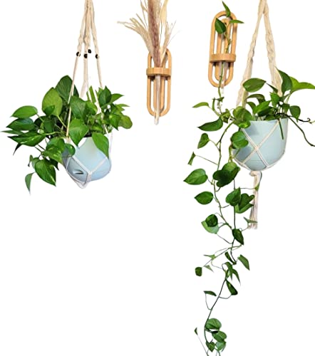 Happy St. Set Of 2 Wall Hanging Propagation Station Boho Decor Wall Sconces For Indoor Plants In Gift Box #TOP7