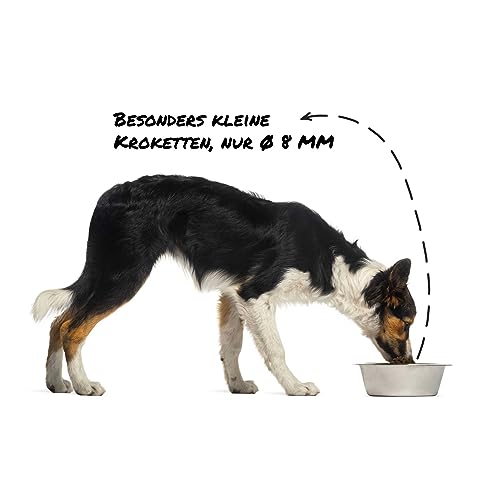 Sollis Trockenfutter Mini Hund | Getreidefrei | Zuckerfrei | Ente | Trockenfutter für kleine Rassen | 2kg