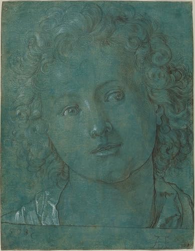 Tête d'un garçon Albrecht Dürer affiche toile pour habiller un grand mur vide