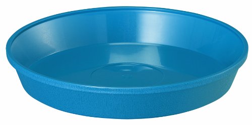 avX`bN MT[ 10 300×H50 u[