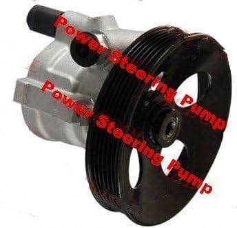 GOWE Power Steering Pump for MC-101 Power Steering Pump 948045
