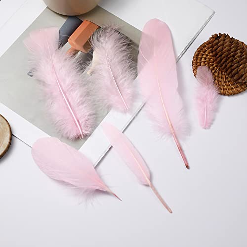 Larryhot Pink Craft Feathers Bulk - 240pcs 6 Style Natural Decorative Feathers for Wedding Home Party, Dream Catcher Supplies and DIY Crafts (Pink)