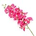 VIVILINEN Mini Flores Artificiales Plásticos Flor de Phalaenopsis realistas Orquídea Mariposa con...