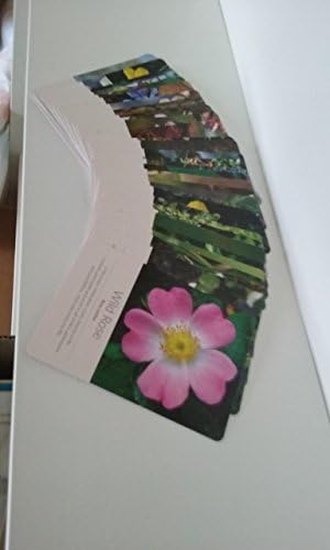 Bach Flower Essence Cards [Cards] Natasha Zamburro