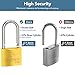 DELSWIN Weatherproof Padlock with Key (Keyed Alike) - Heavy Duty Solid Brass Locker Lock with 1-9/16