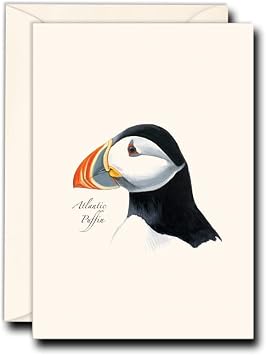 Earth Sky + Water - Sibleys Atlantic Puffin Notecard Set - 8 Blank Cards with Envelopes