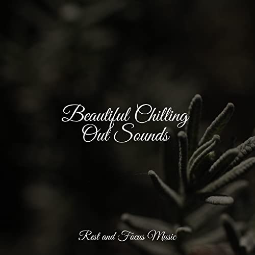 Beautiful Chilling Out Sounds Mindfulness Meditation Universe, Zen