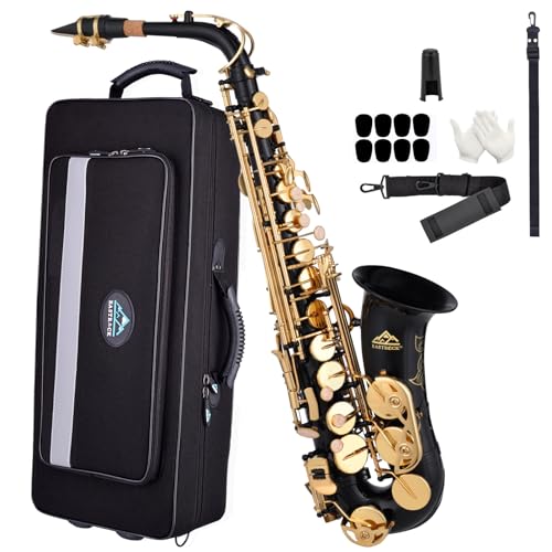 EASTROCK Saxophone Alto Plat en Laiton Laqué Doré, Mi Bémol, Noir, Étui Rigide Inclus