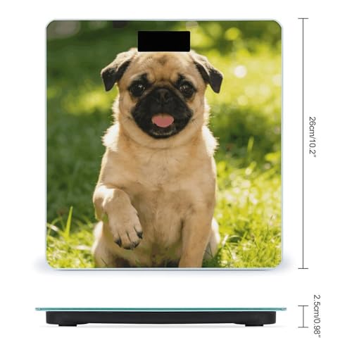 Báscula digital para baño con diseño de perro caricatura miniatura 2